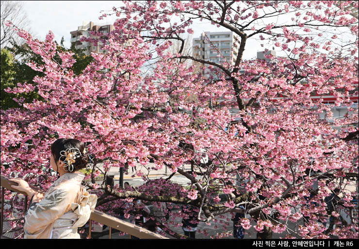 4월 해외여행지 추천 일본 봄 벚꽃 축제 일본 관광지 스미다공원 스미다강