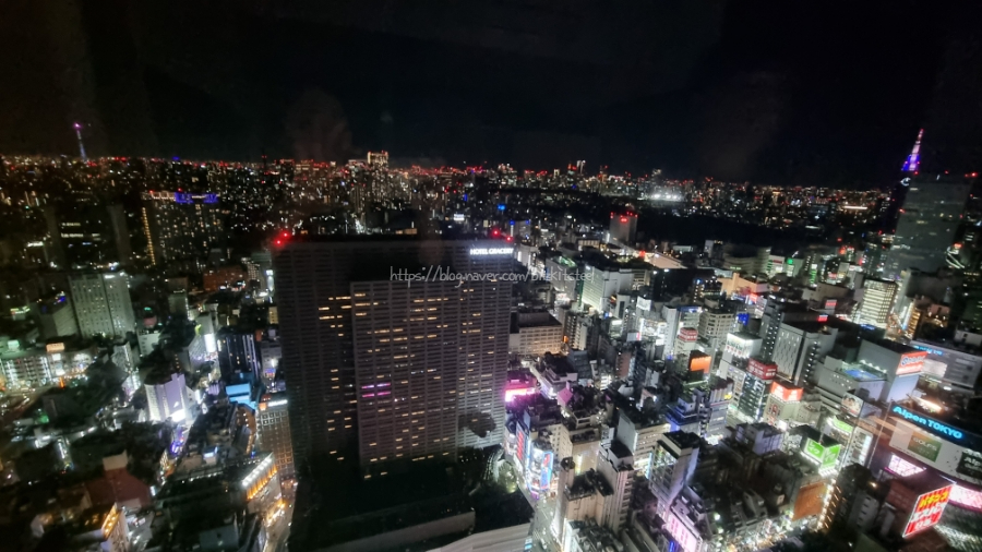 [도쿄 겨울 여행 Day4] 일요일 차없는 거리, 아키하바라 & 호텔그루브신주쿠 재입성