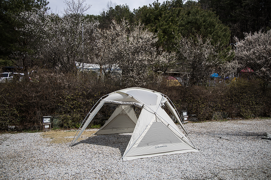 캠핑 텐트 감성 캠핑 알마센 레갈로 돔 쉘터 텐트 추천 사용 후기