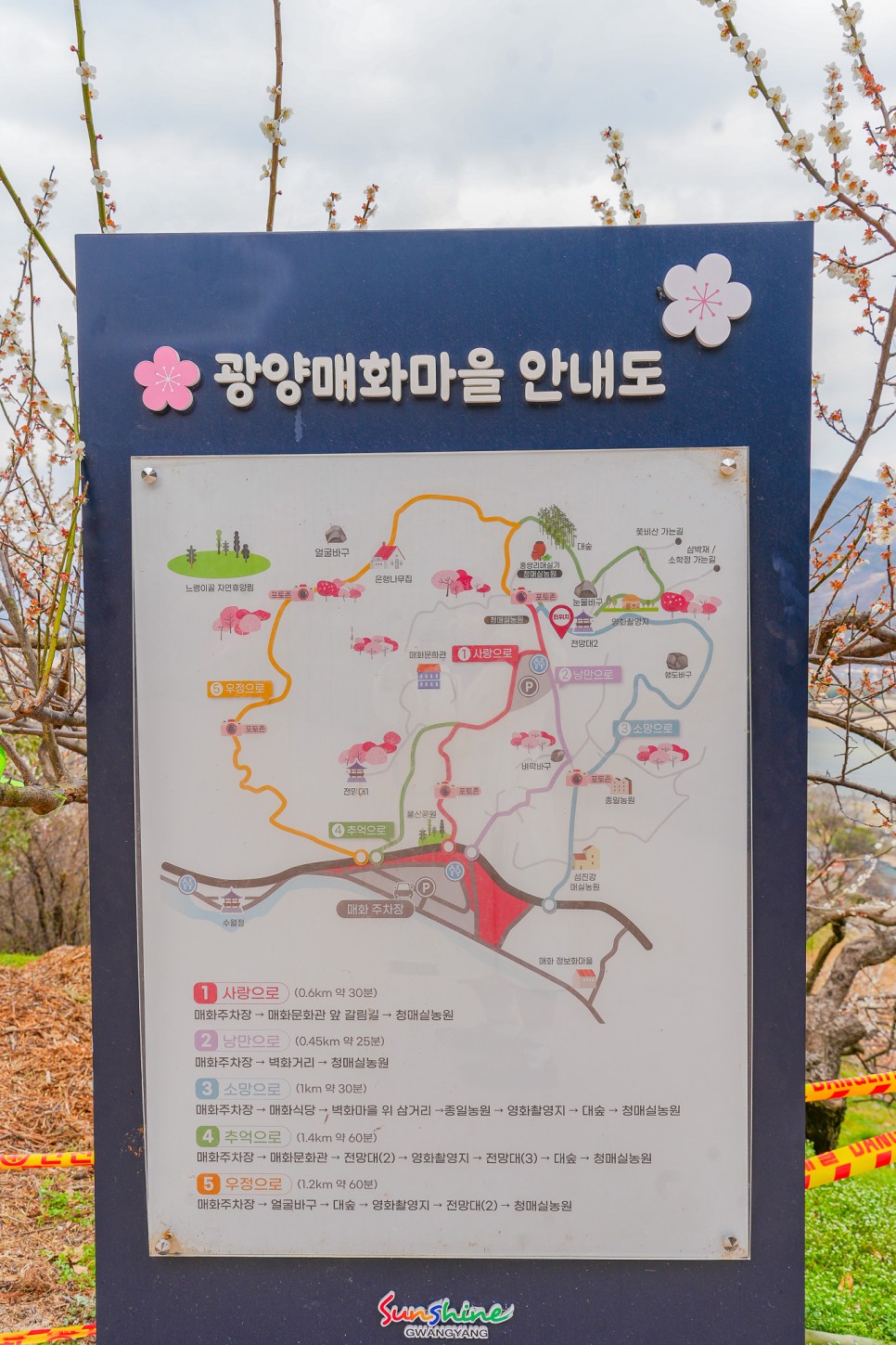 전남 광양 매화축제 2024 광양 매화마을 실시간 주차장 봄꽃구경