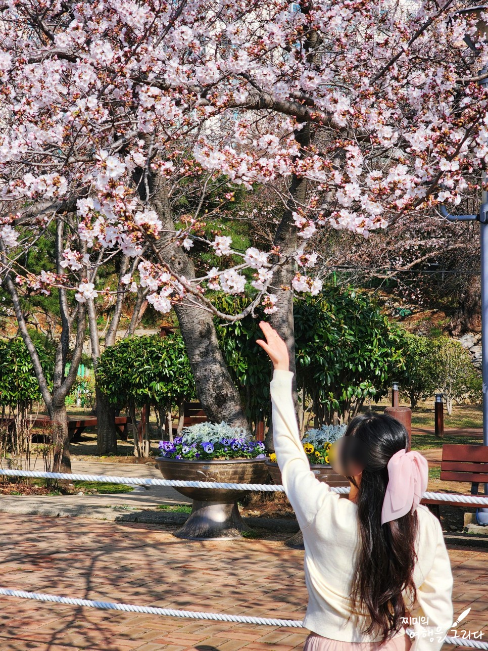 2024 진해군항제 경화역 여좌천 진해 벚꽃 명소 창원 실시간 개화 기본정보