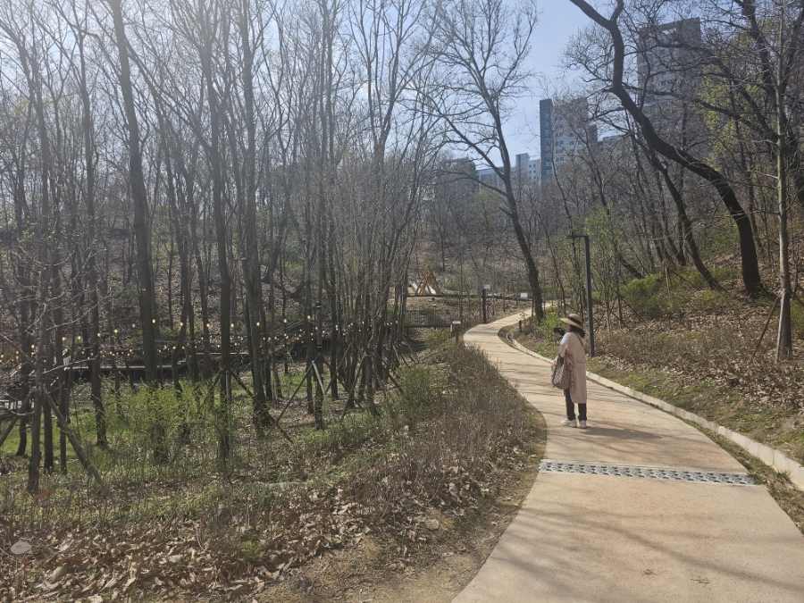수원 영흥 수목원 3km 걷기 운동하고 음악회도 관람해요(4월 5일 금 12시 30분, 7. 8월 일정)