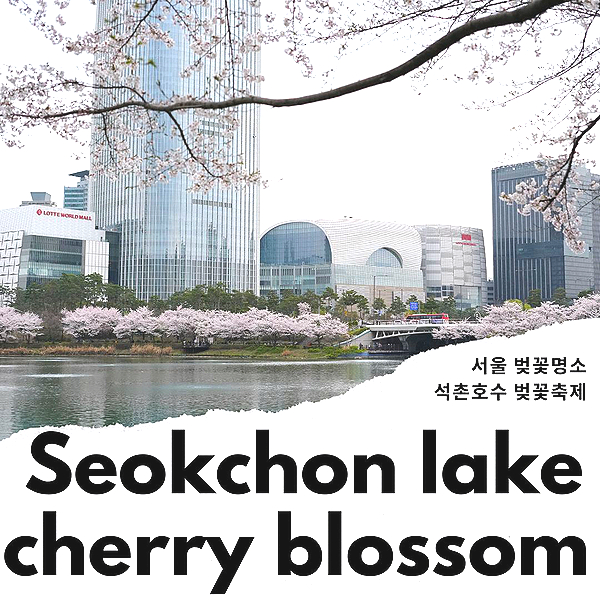 서울 벚꽃 명소 잠실 석촌호수 벚꽃축제 벚꽃 개화시기