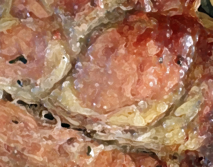 생방송투데이 광교 항아리바베큐 통삼겹 식당 위치 촬영해도될까요