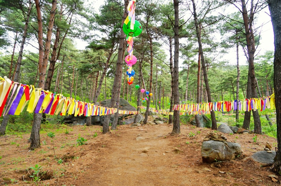 경남 가볼만한곳 합천 황매산 철쭉 축제 허굴산 천불천탑