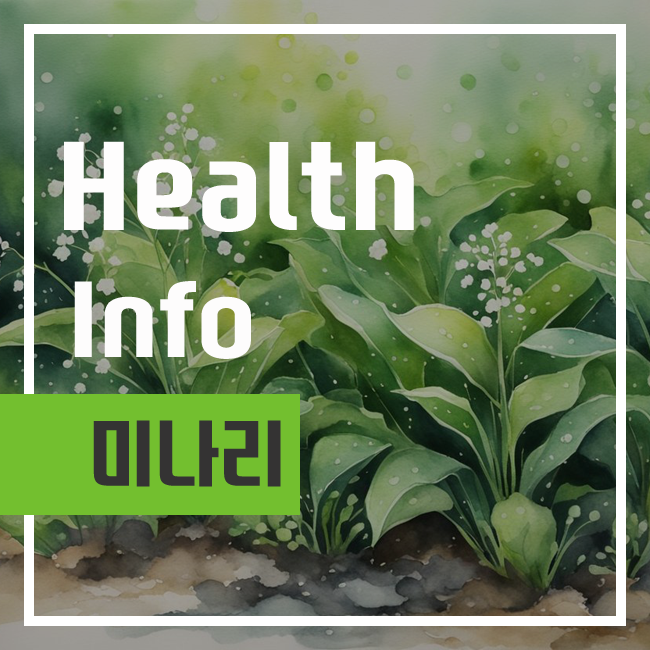 미나리효능 및 부작용