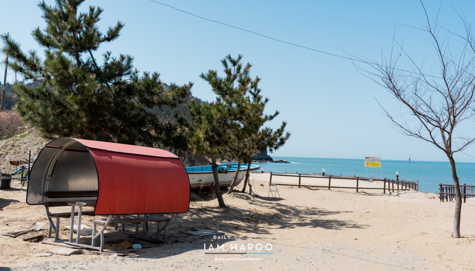 충남 태안 바닷가 캠핑장 추천 백리포해수욕장 오션뷰 차크닉 후기 (애견동반 바다와파도소리 )