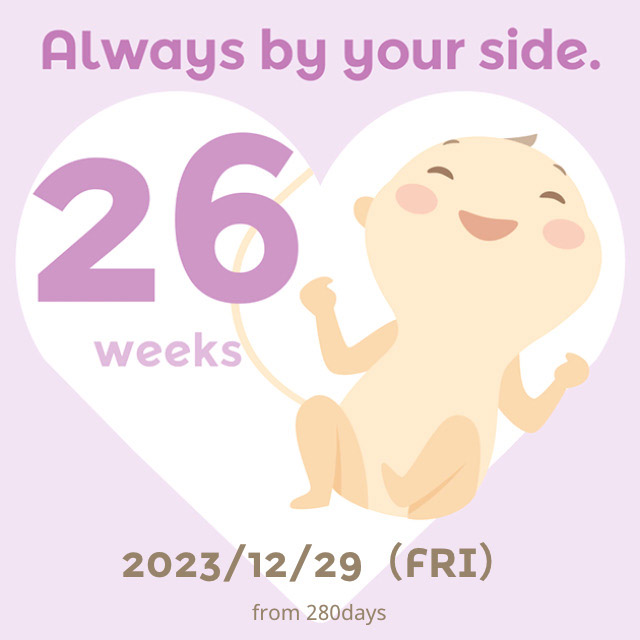 임신 중후반기 24주 ~ 31주 주수별 배크기 및 증상 공유 !