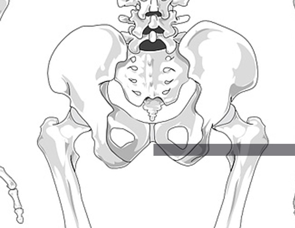 허리 통증 완화 방법 -  도수치료 마사지(엉덩이통증, 허리디스크, 척추기립근, 천골, 골반저근)