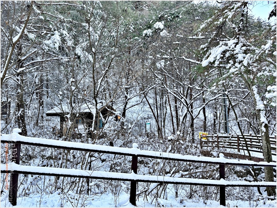 소백산 등산코스 : 천동~어의곡 / #겨울소백