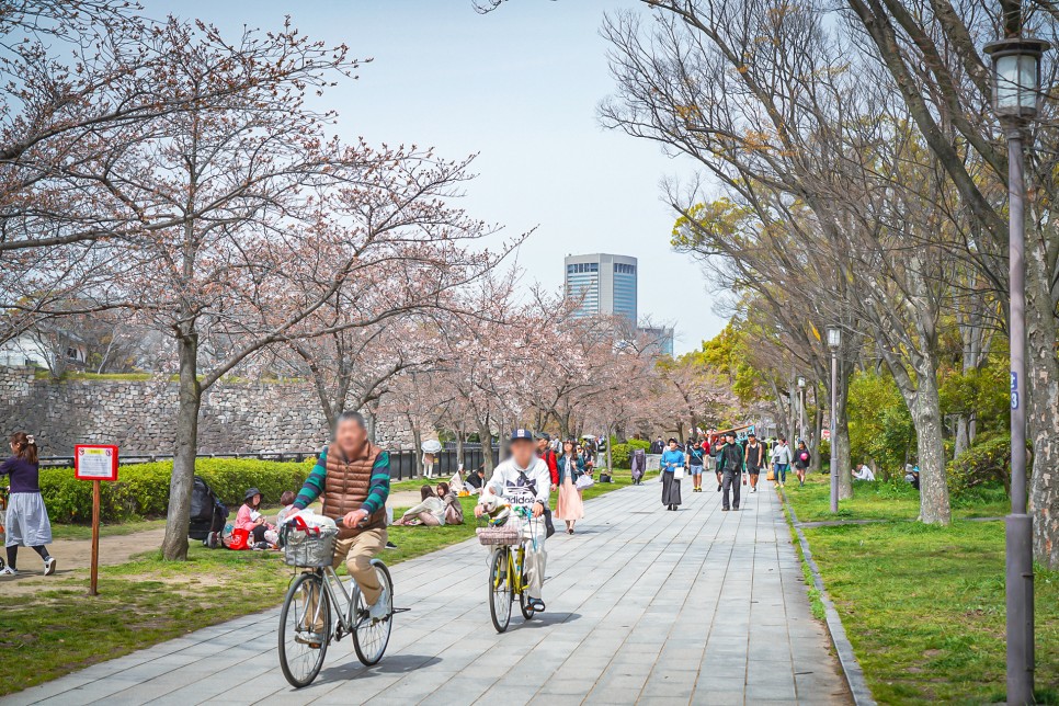 일본 오사카 교토 나라 여행 실시간 벚꽃 날씨 옷차림 와이파이도시락 인천공항 수령 후기