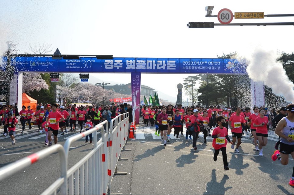 경주 벚꽃 마라톤 대회 & 달리기효과 조깅효과 러닝 런닝 효과