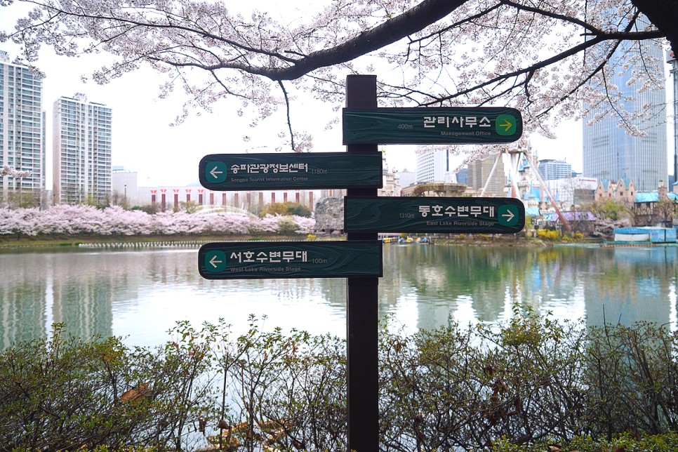 서울 벚꽃 명소 잠실 석촌호수 벚꽃축제 벚꽃 개화시기