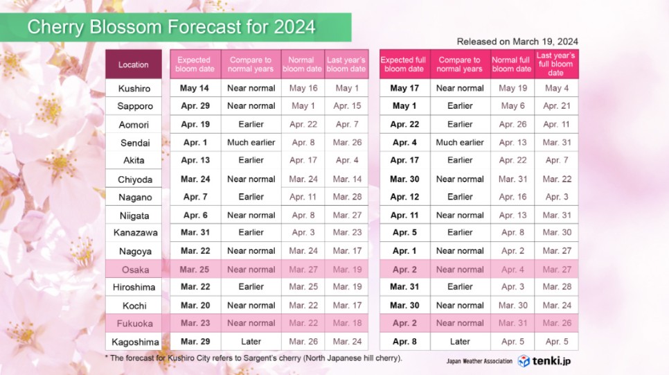 2024 일본 벚꽃 개화시기 후쿠오카 벚꽃 명소 오호리공원 실시간