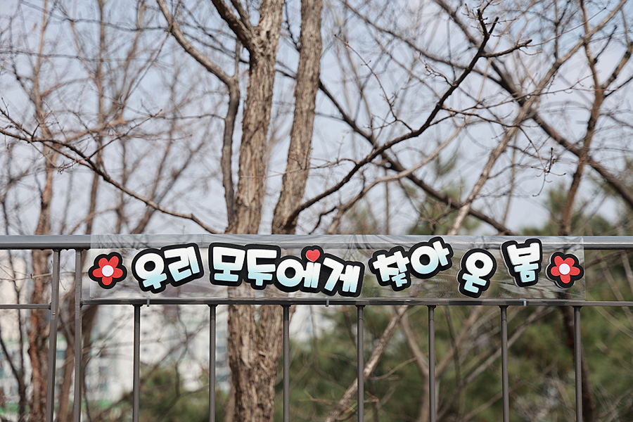 서울 가볼만한곳 서울 응봉산 개나리 축제 주차 팔각정 꽃구경 꽃축제