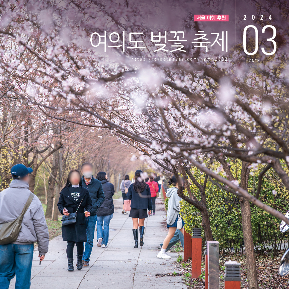 2024 여의도 벚꽃 축제 윤중로 벚꽃 개화시기 서울 여행 코스