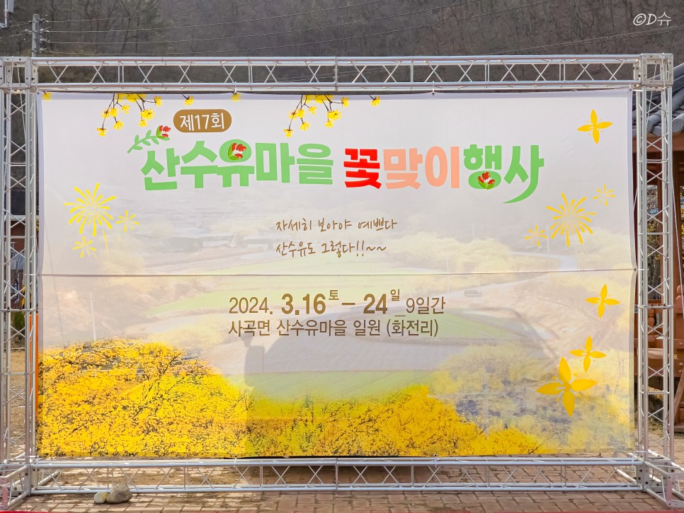 경북 의성 가볼만한곳 산수유 봄꽃축제 당일치기 여행 코스