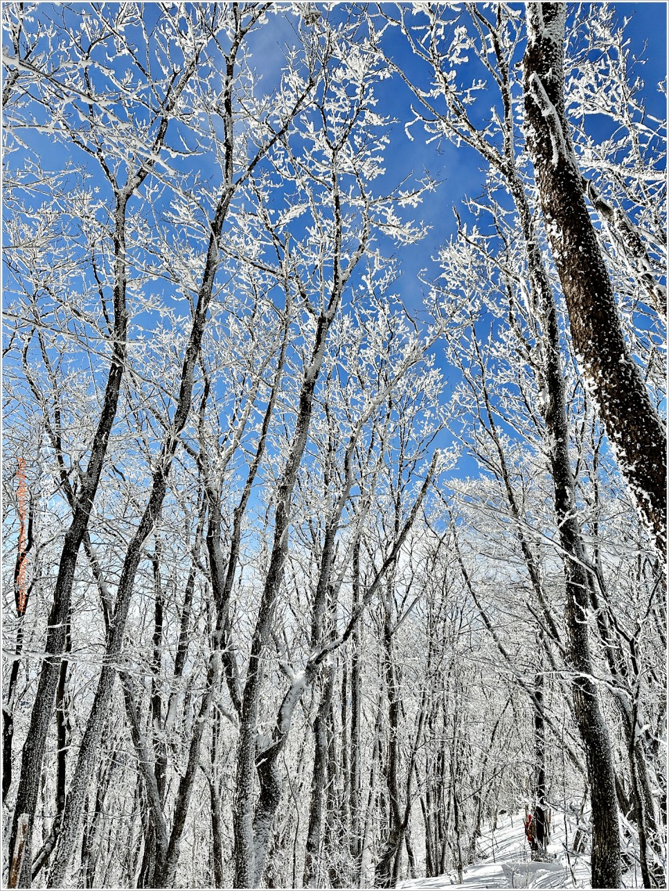소백산 등산코스 : 천동~어의곡 / #겨울소백