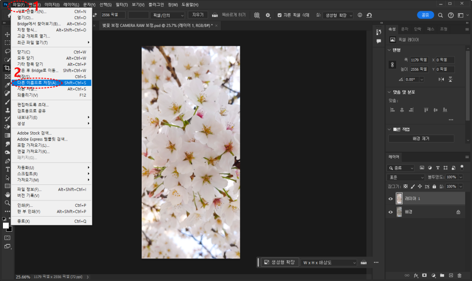 벚꽃 배경화면 만들기 & 초간단 벚꽃 사진 보정 방법