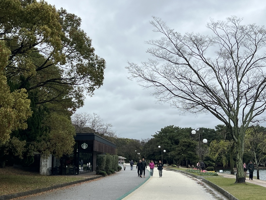 실시간  24.03.26 후쿠오카 자유여행 벚꽃 개화상태, 날씨, 마이즈루, 오호리 공원