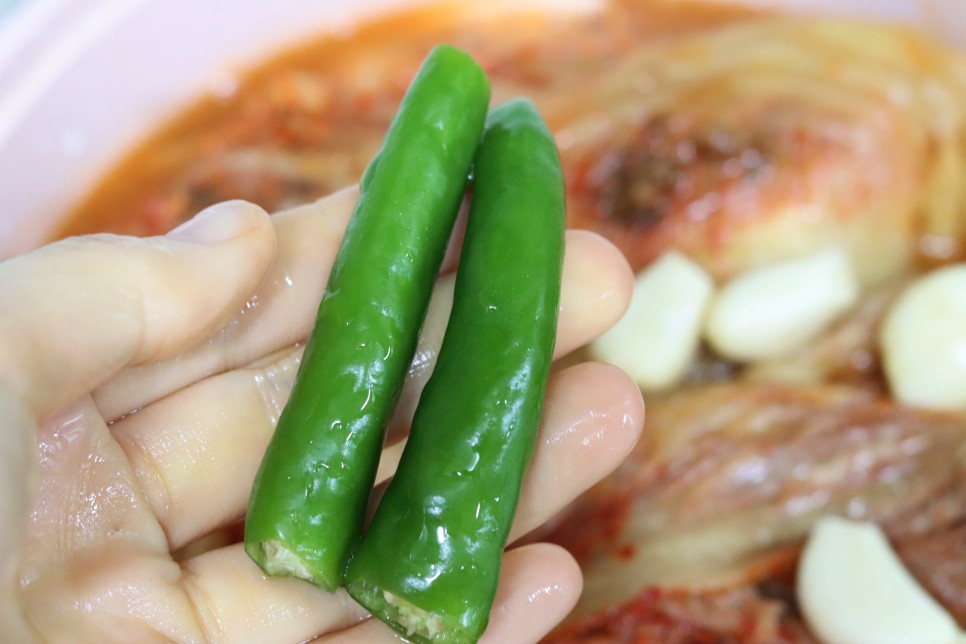 돼지 김치찌개 맛있게 끓이는법 돼지고기 김치짜글이 레시피