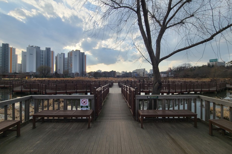 서울 푸른수목원 나들이 봄꽃이 피기 시작했어요~ 항동철길도 걸어보아요~