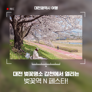 대전 벚꽃 명소 갑천에서 열리는 '벚꽃역 N 페스타'