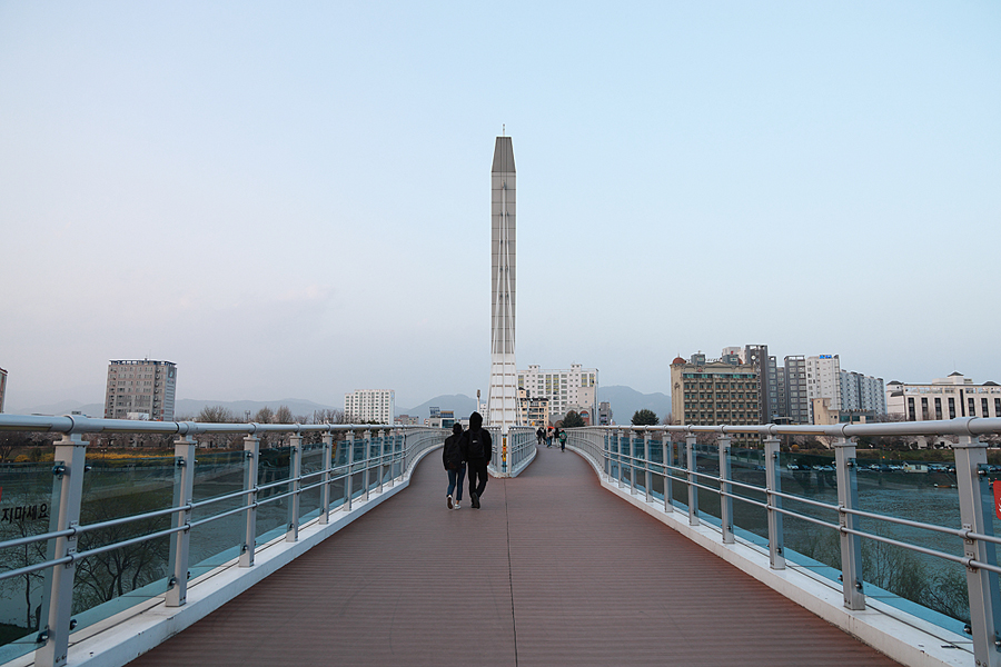 대구 벚꽃 명소 개화 시기 동촌 유원지 금호강 산책로 나들이 자전거길