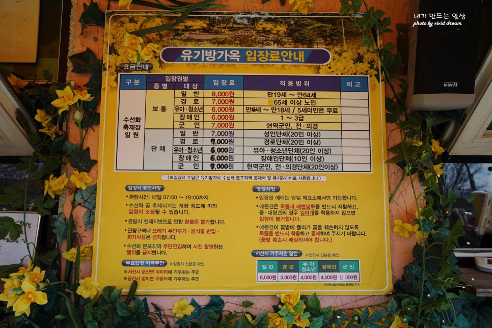 3월 여행지 봄꽃구경 충남 서산 명소 유기방가옥 수선화 2024 축제 실시간 개화상황