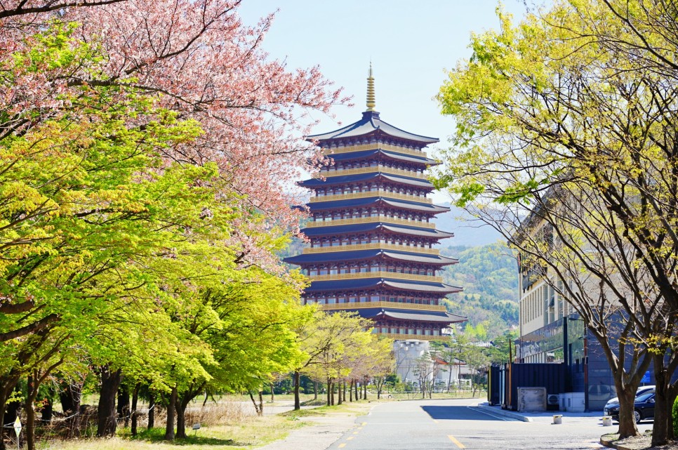2024 벚꽃 개화시기 만개시기 부산 경주 벚꽃 명소 모음