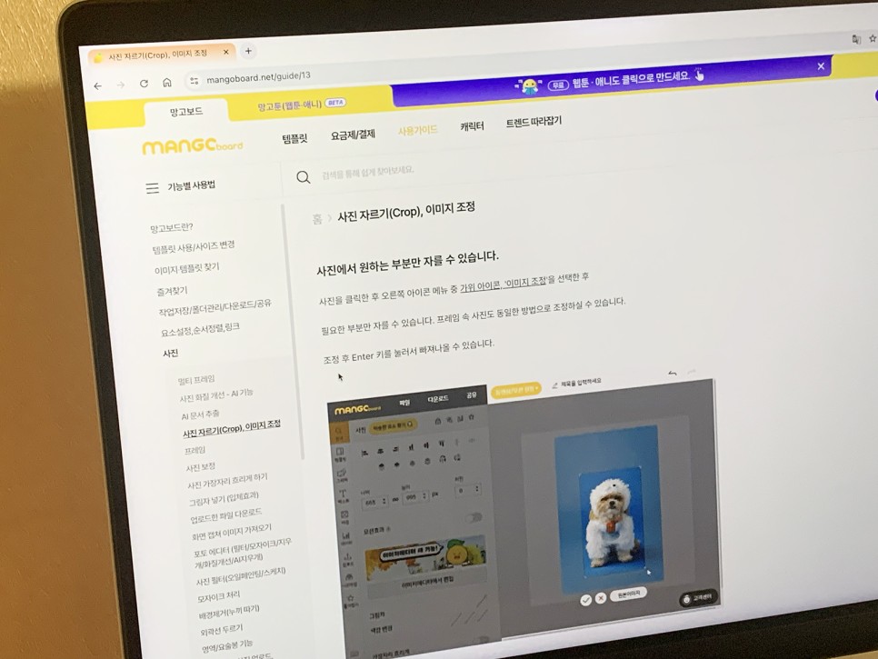 사진 편집 프로그램 사이트 AI 기능 활용한 효율성 증대