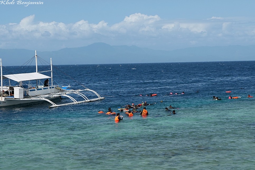 필리핀 세부 여행 비용 오슬롭 투어 모알보알 세부 호핑투어 종류 가격 안전