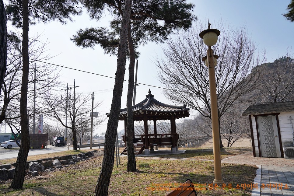 405. 3월 15일 곰들덤공원 캠핑 임고선원강변캠핑장/경북무료캠핑장