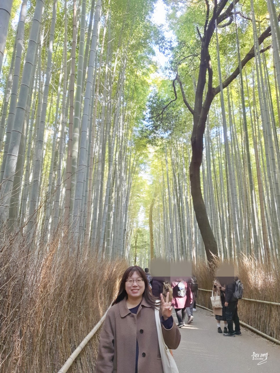 일본 교토 여행 가볼만한곳 교토 아라시야마 대나무숲 치쿠린