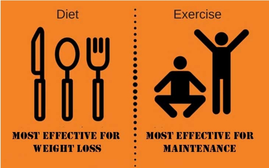 균형 잡힌 식단과 운동, 지속 가능한 체중 조절