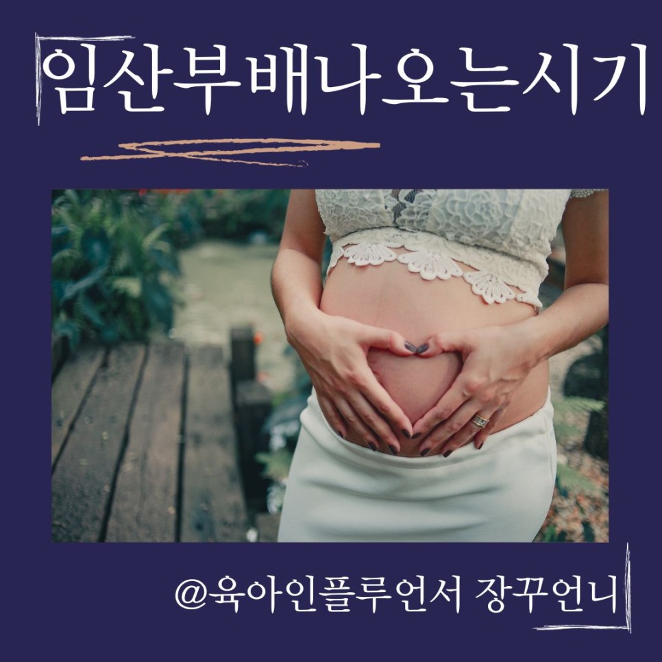 임산부 배나오는 시기 체중증가 임산부 몸무게 정리