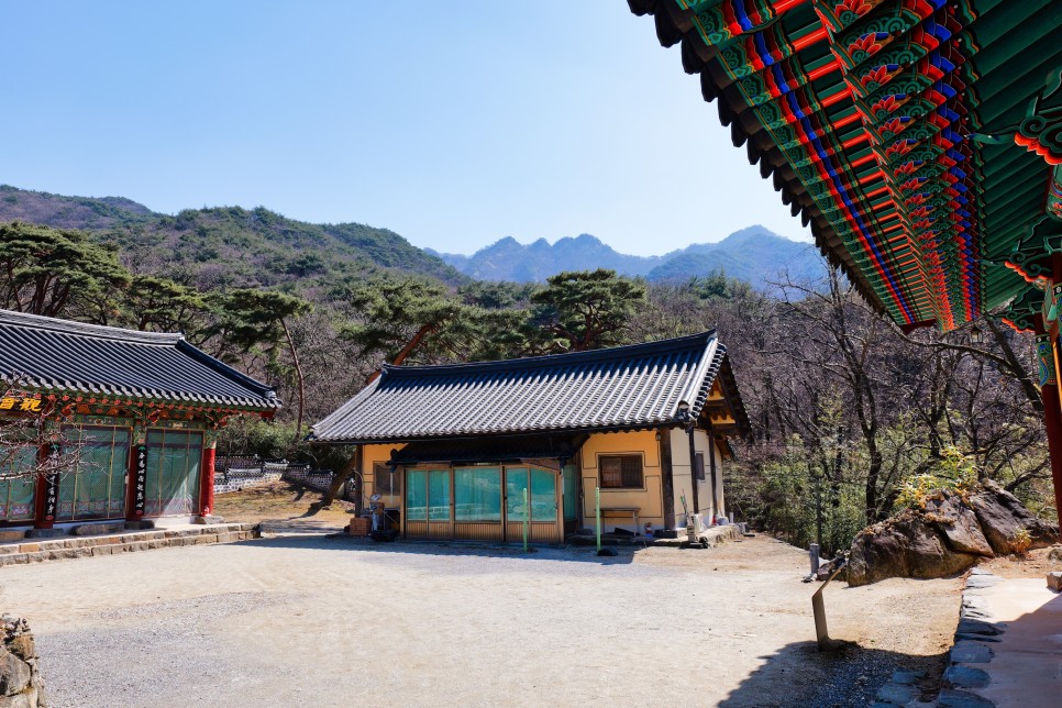 [계룡산국립공원] 산책하기 좋은 국립공원 사찰여행, 공주 갑사