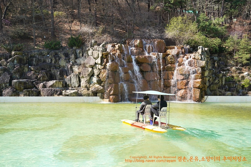 대구 봄나들이 네이처파크 카피바라 보러 갔다가 코아티에 반함!