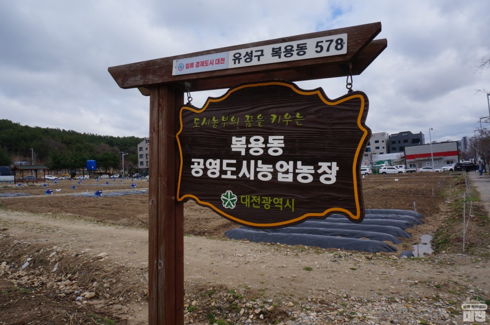 도심 속 텃밭을 가꿔보아요, 대전 복용동 공영도시농업농장