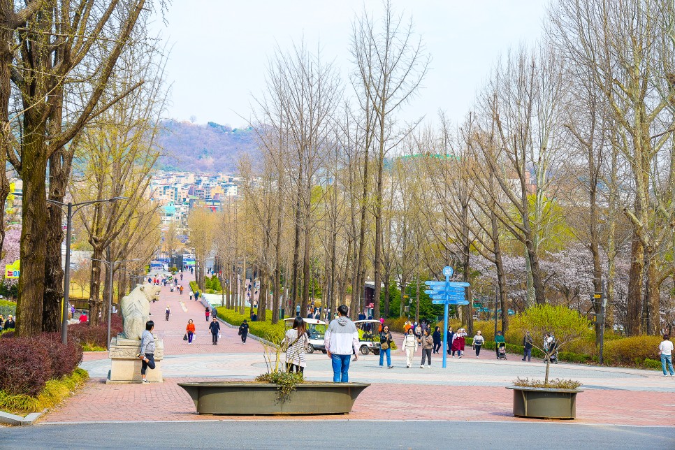 서울어린이대공원 벚꽃 만개 어린이대공원 동물원 시간