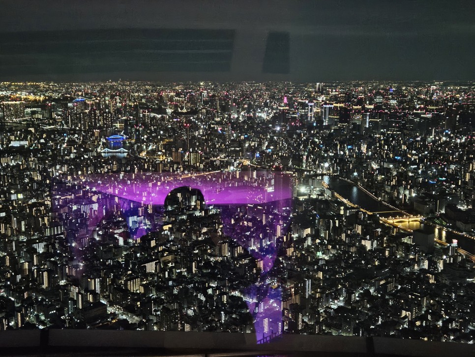 도쿄 야경 명소 도쿄 스카이트리 전망대 바라볼 때가 더 낫던가?