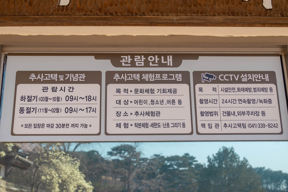 충남 나들이  예산 여행 추사고택 수선화 & 목련 서울근교 꽃구경