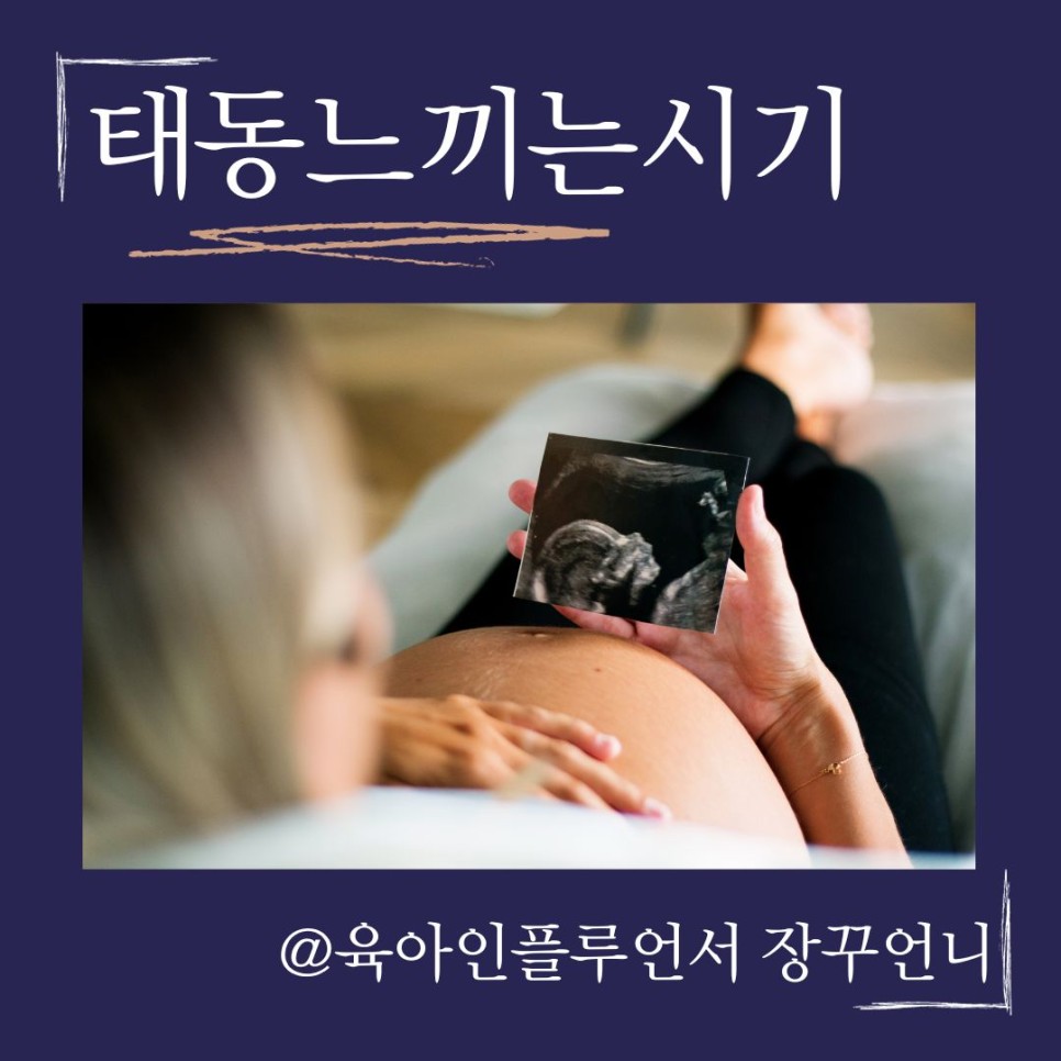 태동느끼는 시기 태아딸꾹질 경험 후기