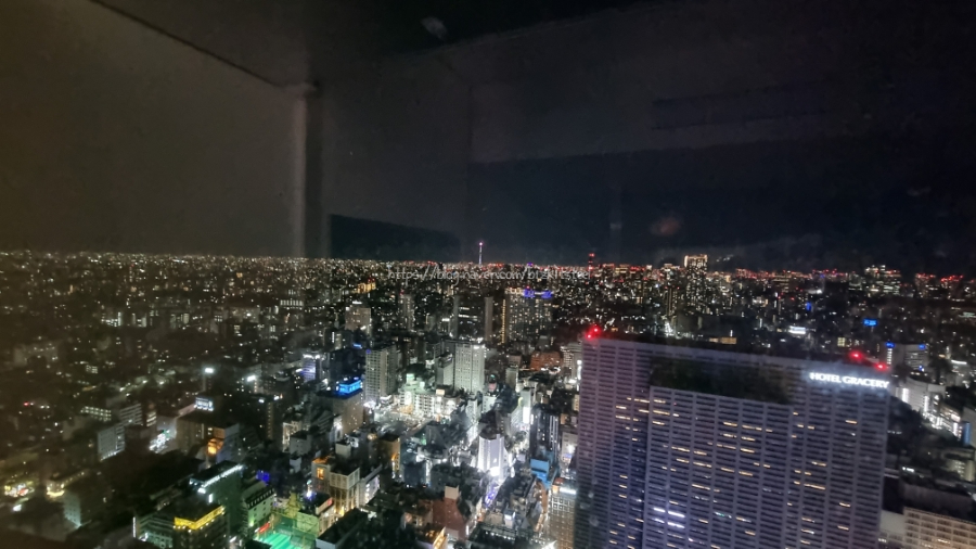 [도쿄 겨울 여행 Day4] 일요일 차없는 거리, 아키하바라 & 호텔그루브신주쿠 재입성