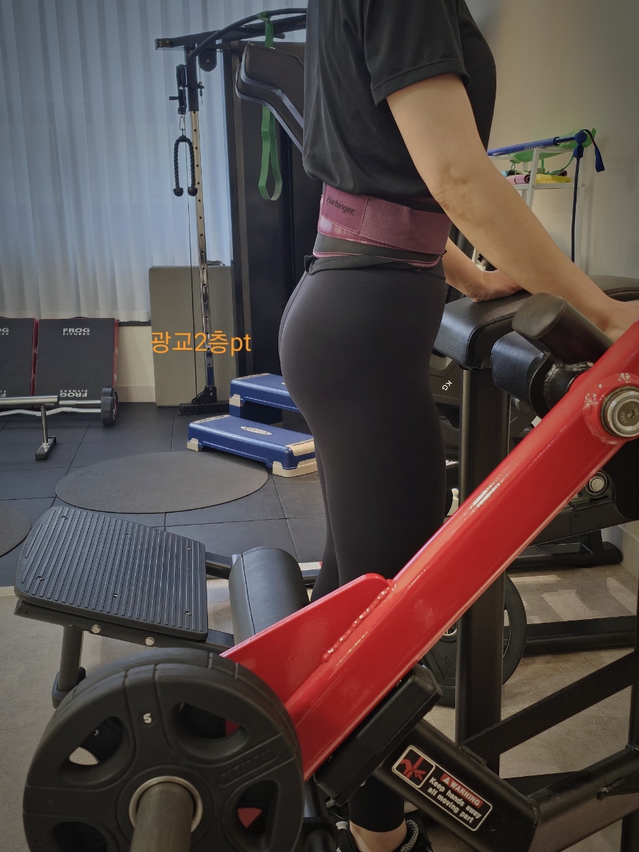 엉덩이 근육운동 대둔근 강화 운동 중요성