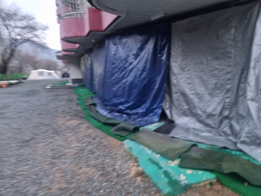 56번째캠핑) 벚꽃시즌 얼음골알프스펜션 캠핑장 구)캠프미량