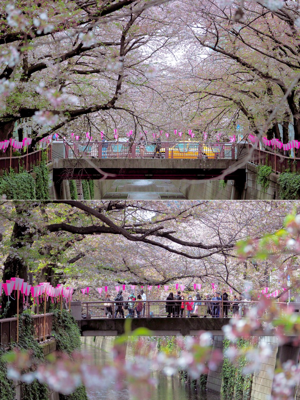 일본 도쿄 여행경비 벚꽃 명소 도쿄타워 지하철패스 구입