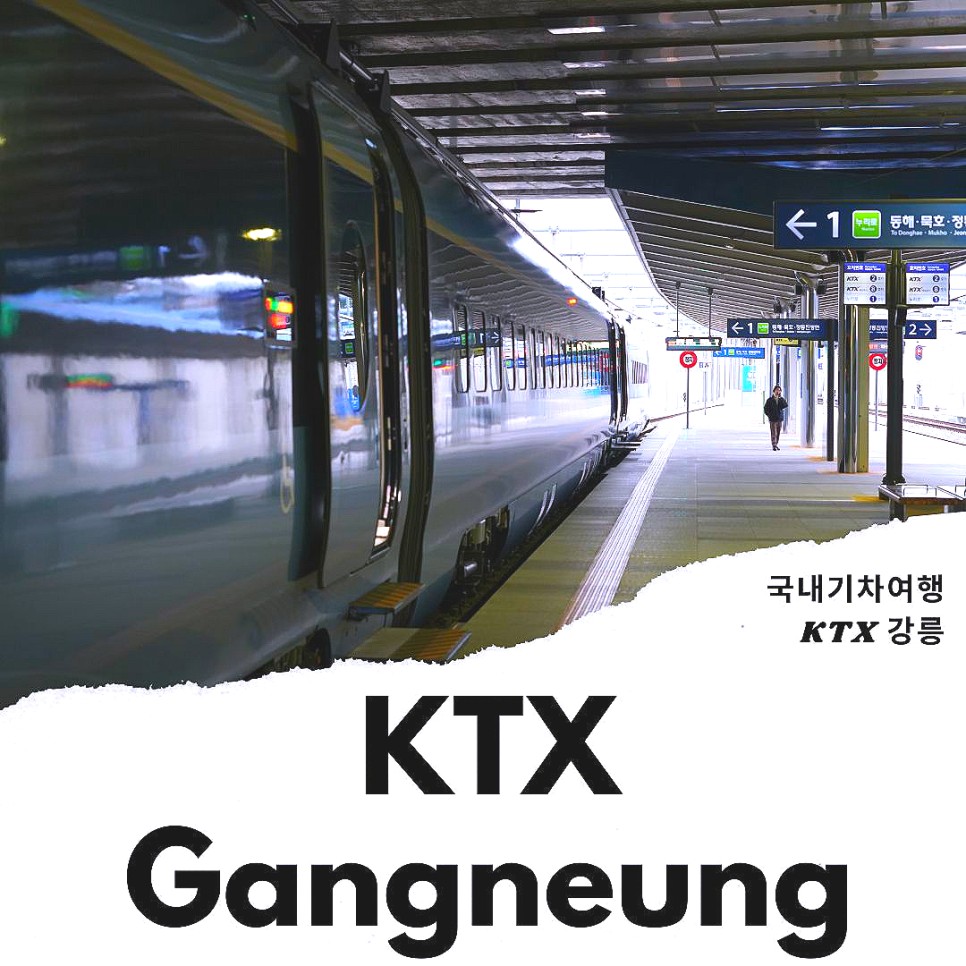 국내 기차여행 강릉 KTX 이음 후기 & KTX 20주년 이벤트