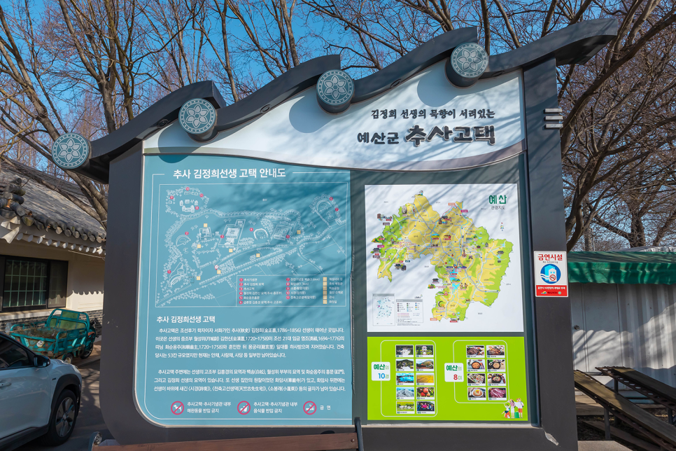 충남 나들이  예산 여행 추사고택 수선화 & 목련 서울근교 꽃구경