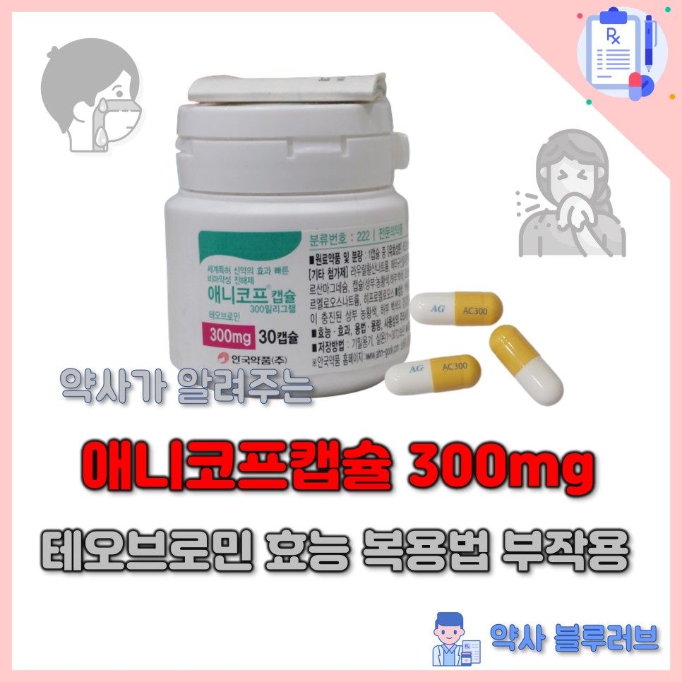 애니코프캡슐 300mg 테오브로민 효능 복용법 부작용